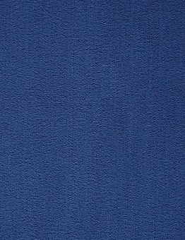 Prominent Carpet