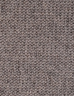 TERRA