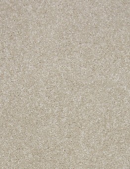 Carpet Camilia